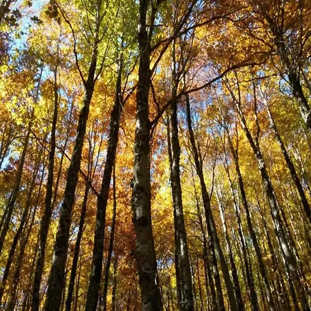 With Air Conditioning, Private Terrace And Pool Ravigliano