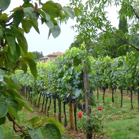 With Air Conditioning, Private Terrace And Pool